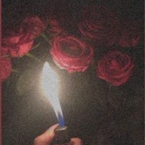 Meet your Posher, Baylie